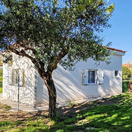 Cozy Owl'S Studio Home Πύργος Εξωτερικό φωτογραφία
