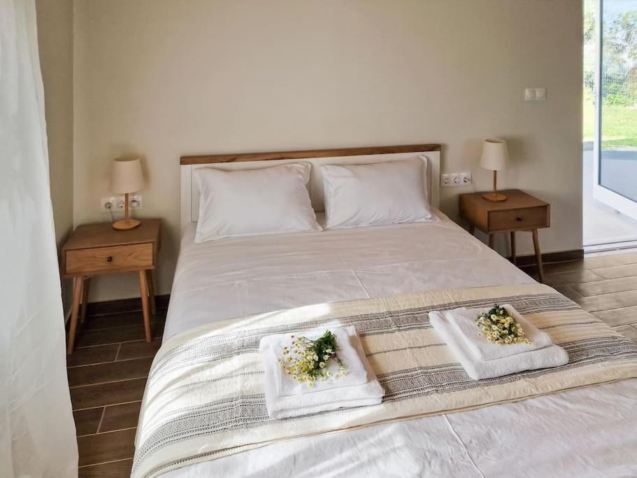 Cozy Owl'S Studio Home Πύργος Εξωτερικό φωτογραφία
