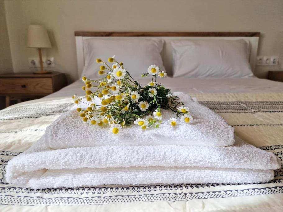 Cozy Owl'S Studio Home Πύργος Εξωτερικό φωτογραφία