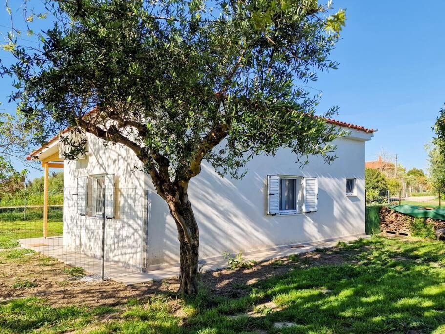 Cozy Owl'S Studio Home Πύργος Εξωτερικό φωτογραφία